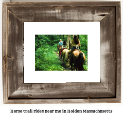 horse trail rides near me in Holden, Massachusetts